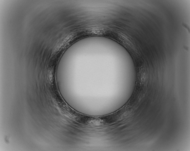 X0000102820595200808251113