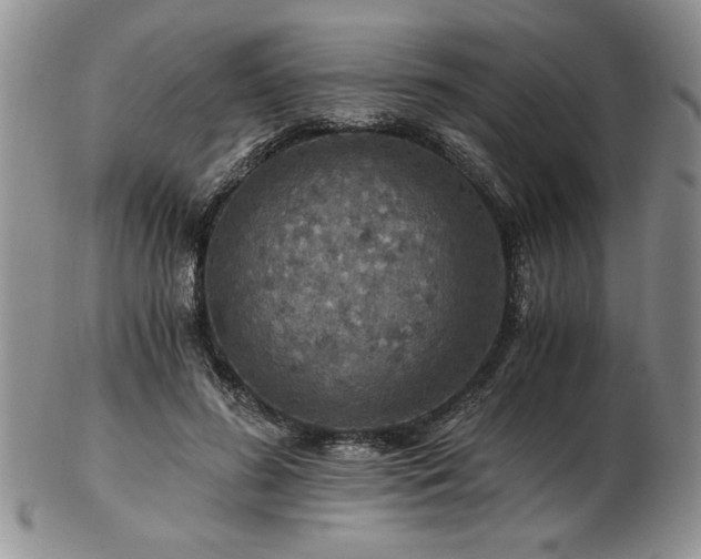 X0000102820596200808251113