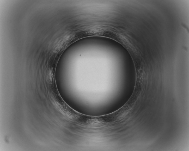 X0000102820597200808251113