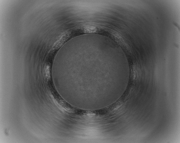 X0000102820598200808251113