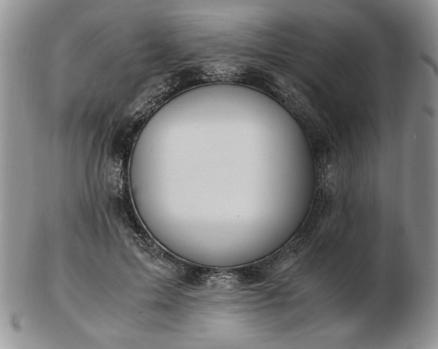 X0000102820599200808251113