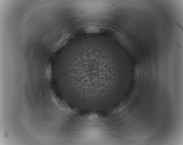 X0000102820600200808251113