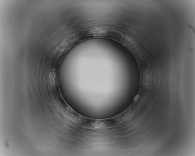X0000102820604200808251112