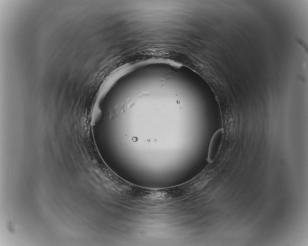 X0000102820609200808251112