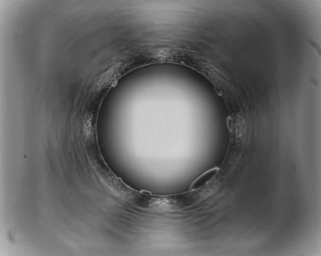 X0000102820611200808251112