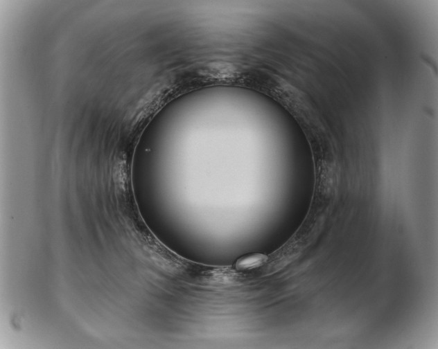X0000102820612200808251112