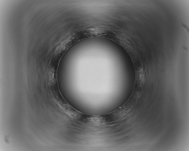 X0000102820615200808251112