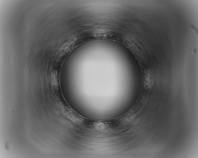 X0000102820616200808251112