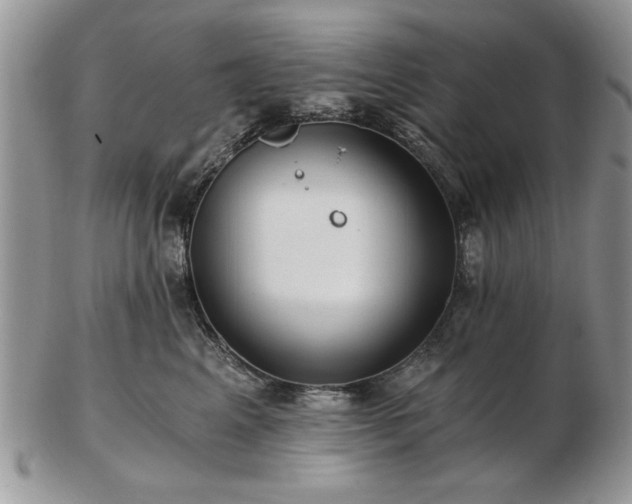 X0000102820617200808251112