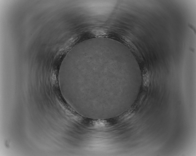 X0000102820618200808251112