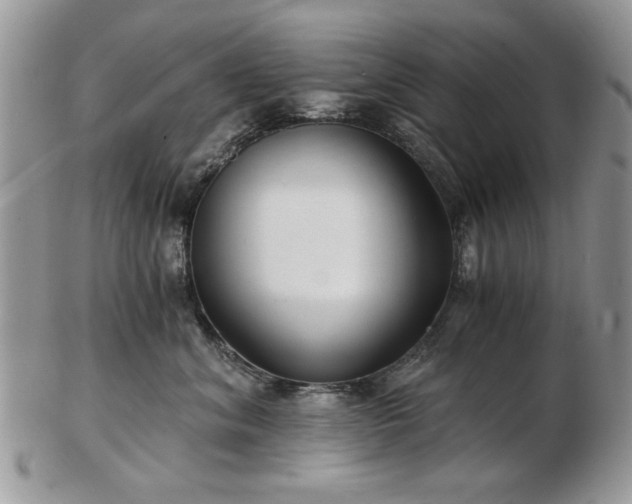X0000102820620200808251112