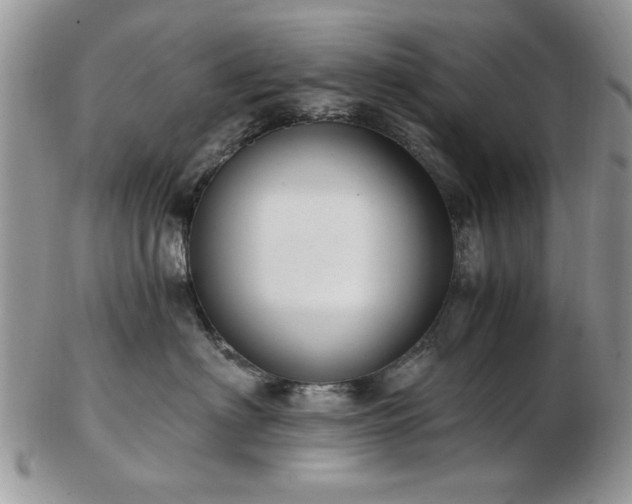 X0000102820622200808251112