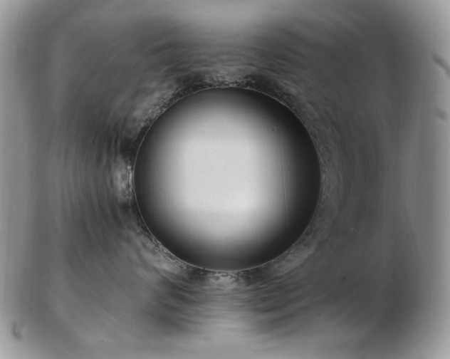 X0000102820624200808251112