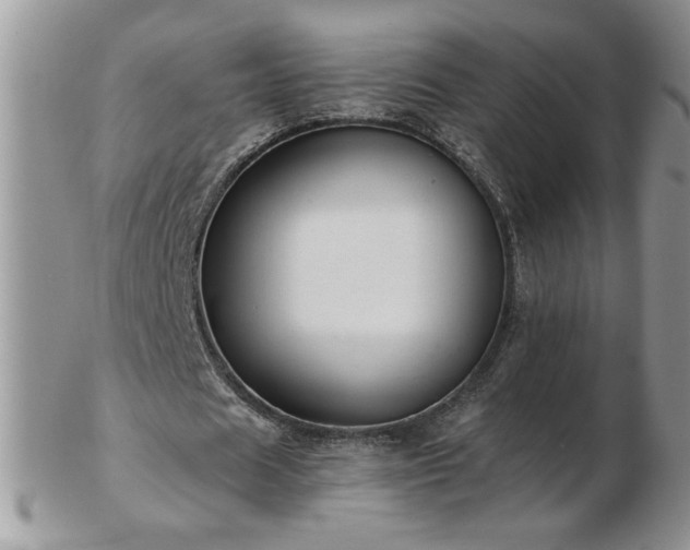X0000102820625200808251111