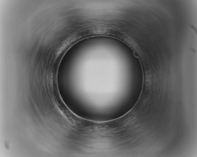 X0000102820626200808251111