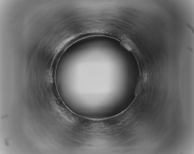 X0000102820628200808251111