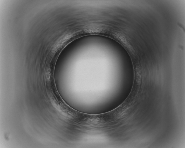X0000102820631200808251111