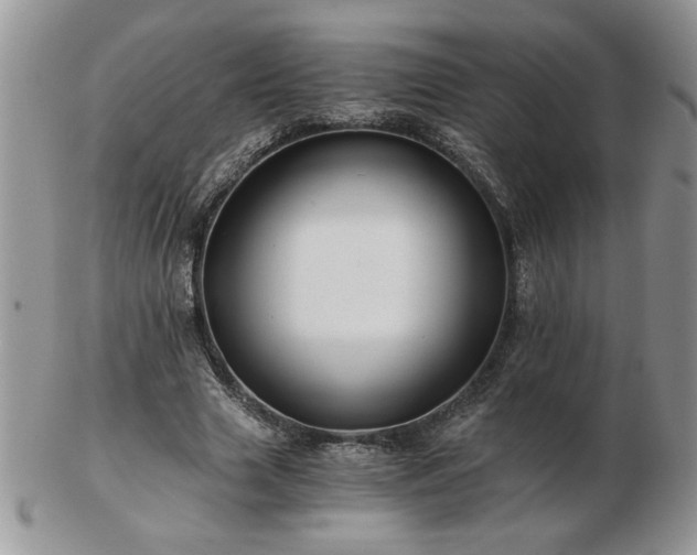 X0000102820633200808251112