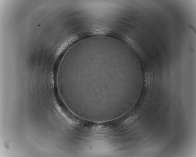 X0000102820634200808251112