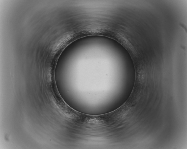 X0000102820635200808251112