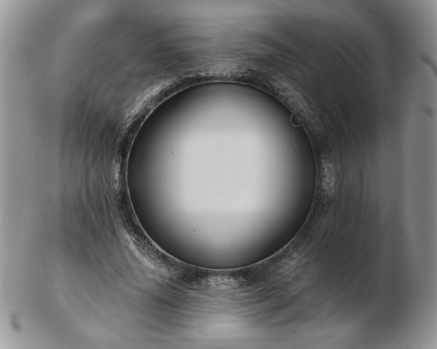 X0000102820636200808251112