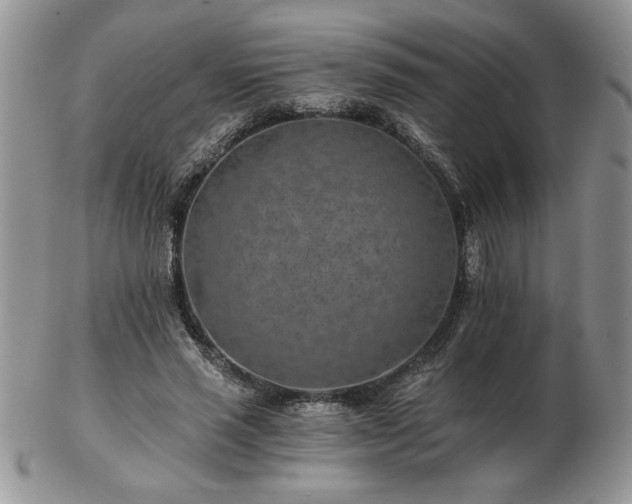 X0000102820637200808251112