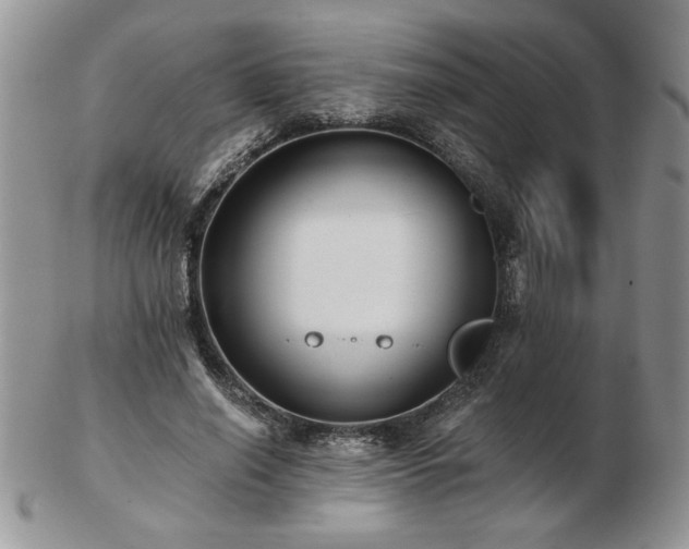 X0000102820638200808251112