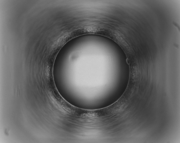 X0000102820639200808251112