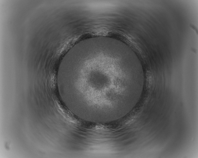 X0000102820641200808251112