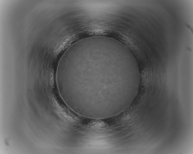 X0000102820642200808251112
