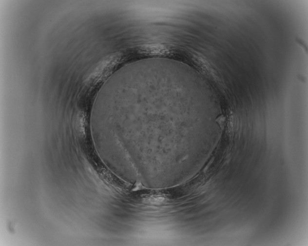 X0000102820643200808251112