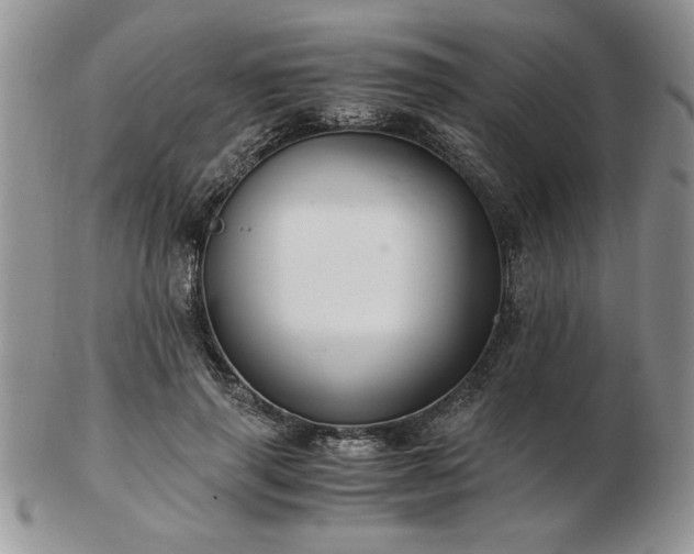 X0000102820645200808251112