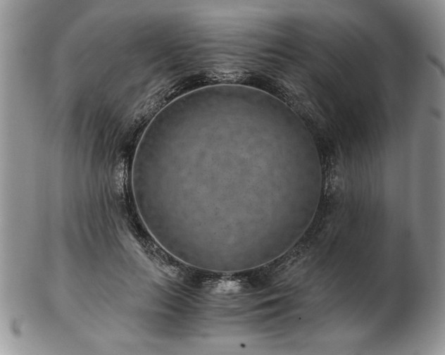 X0000102820647200808251112
