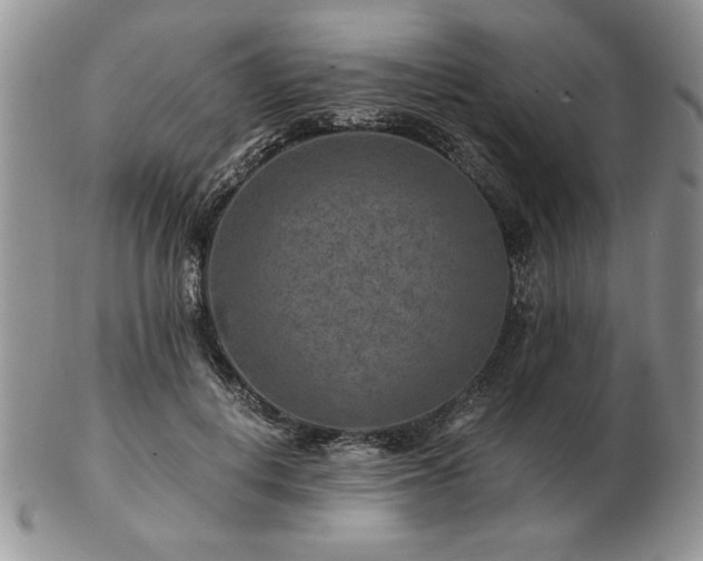 X0000102820648200808251112
