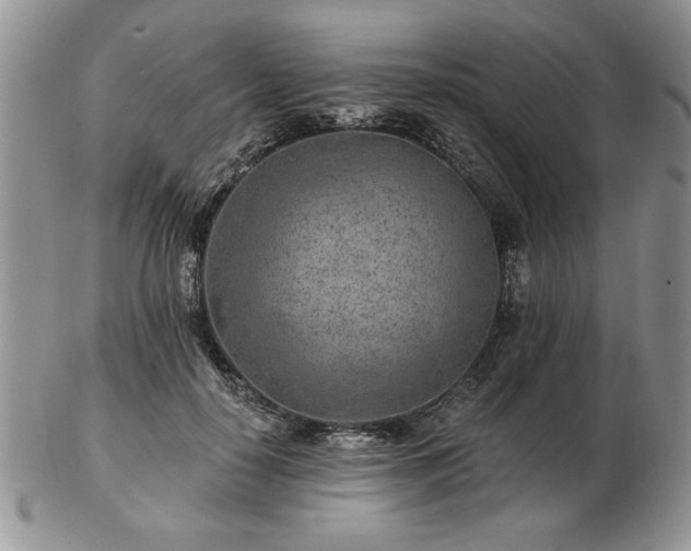 X0000102820650200808251112