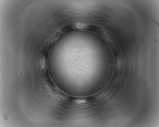 X0000102820651200808251112