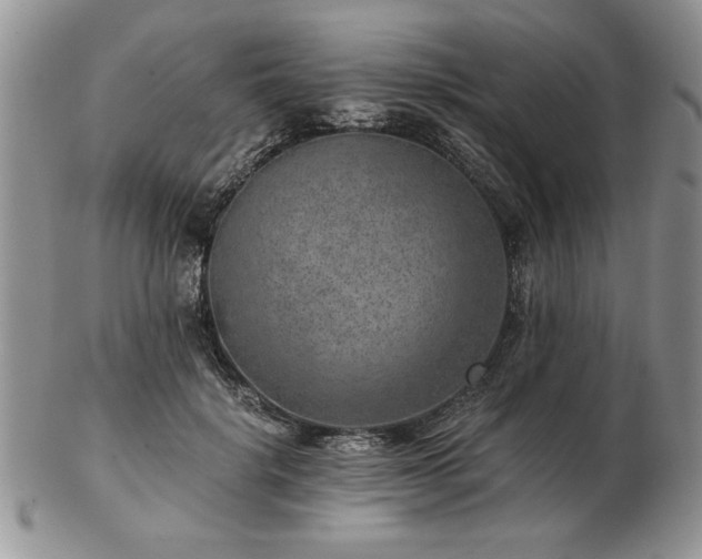 X0000102820652200808251112