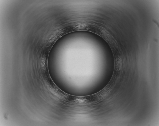 X0000102820654200808251112