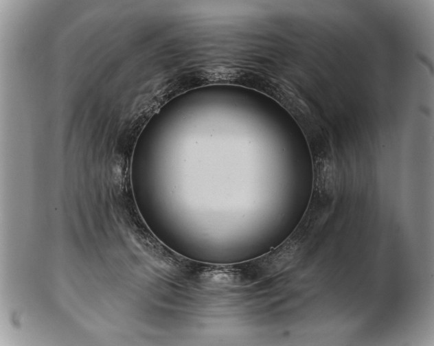 X0000102820655200808251112