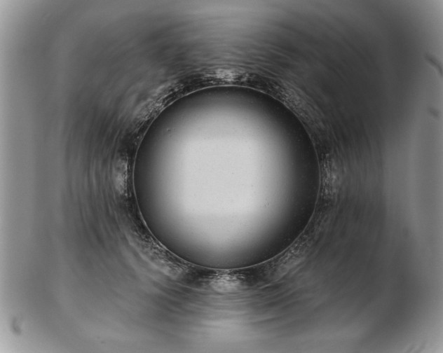 X0000102820656200808251112