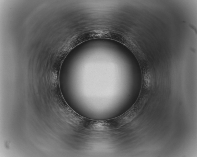 X0000102820657200808251112