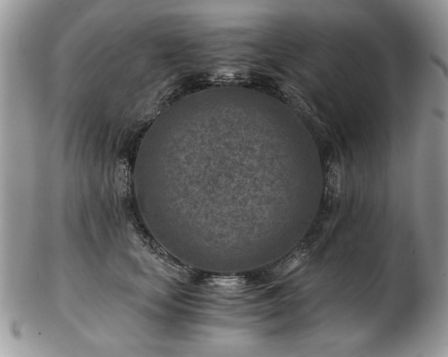 X0000102820659200808251112