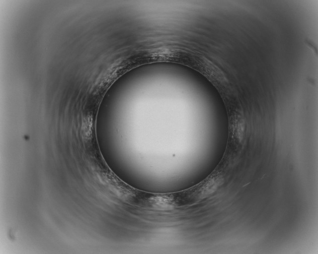 X0000102820660200808251112