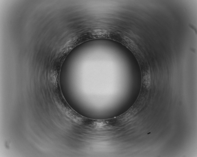 X0000102820662200808251112