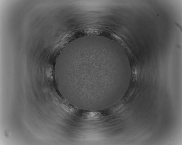 X0000102820663200808251112