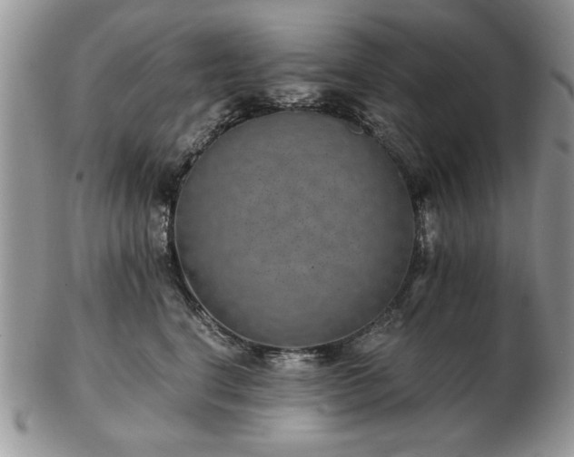 X0000102820664200808251112