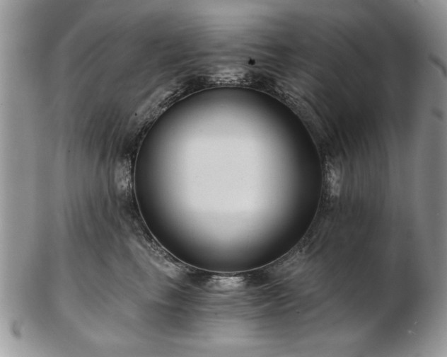 X0000102820665200808251112