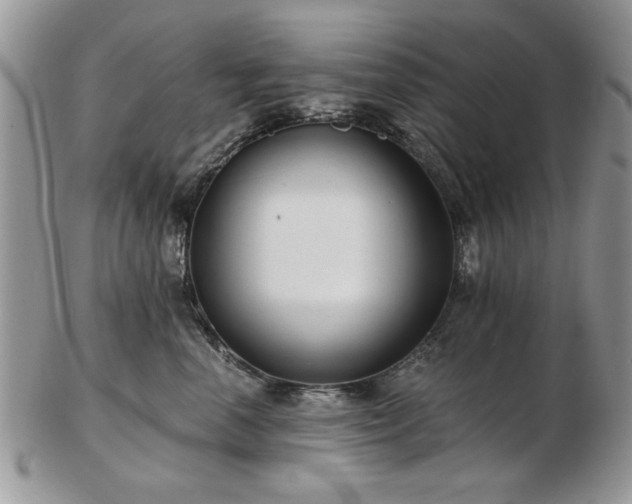 X0000102820666200808251112
