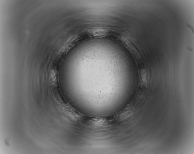 X0000102820667200808251112