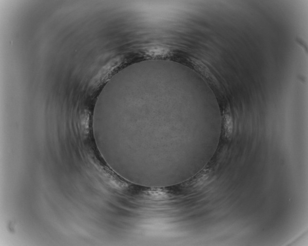 X0000102820668200808251112